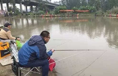 警惕不實(shí)釣魚鉤，2025年免費(fèi)資料大全下載入口合并77777888888免費(fèi)管家—重點(diǎn)釋義、解釋與落實(shí)