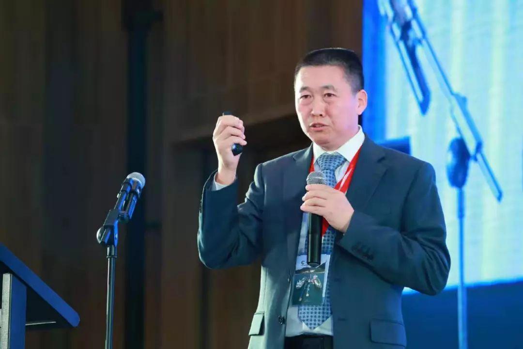 2025年新奧正版免費資料大全，基礎(chǔ)釋義、專家解析與落實